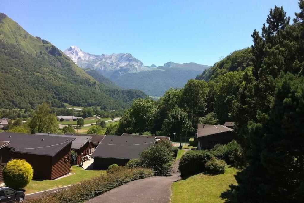 Chalet De L'Ours Brun, Gite 3 Etoiles Gere-Belesten Екстериор снимка