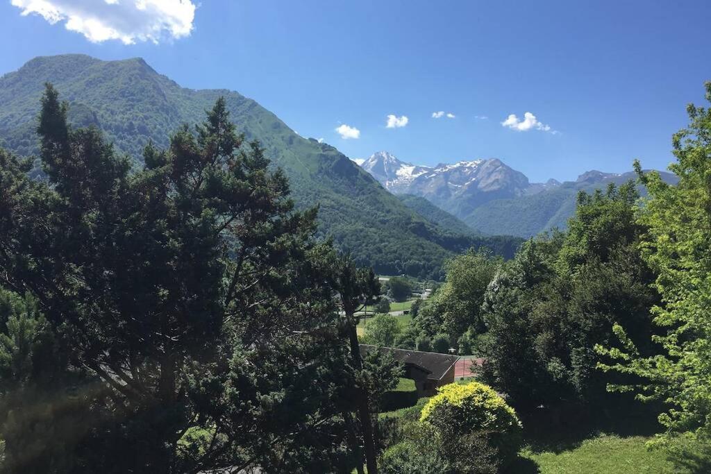 Chalet De L'Ours Brun, Gite 3 Etoiles Villa Gere-Belesten Екстериор снимка